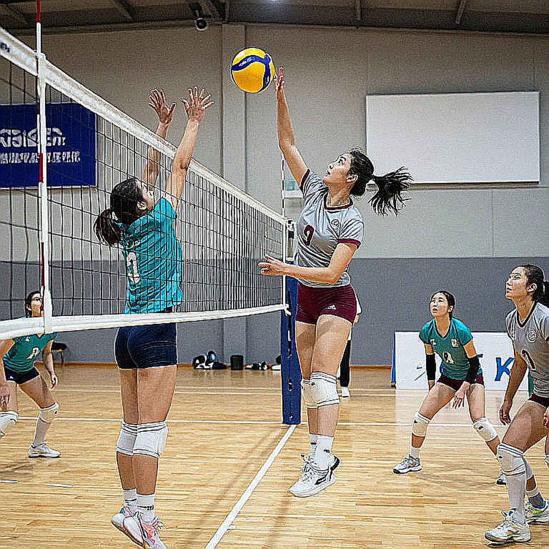 Ai Cập lần đầu dự Olympic, châu Phi có ba suất World Cup: Đêm lịch sử của bóng chuyền nữ Ai Cập lần đầu dự Olympic, châu Phi có ba suất World Cup: Đêm lịch sử của bóng chuyền nữ
