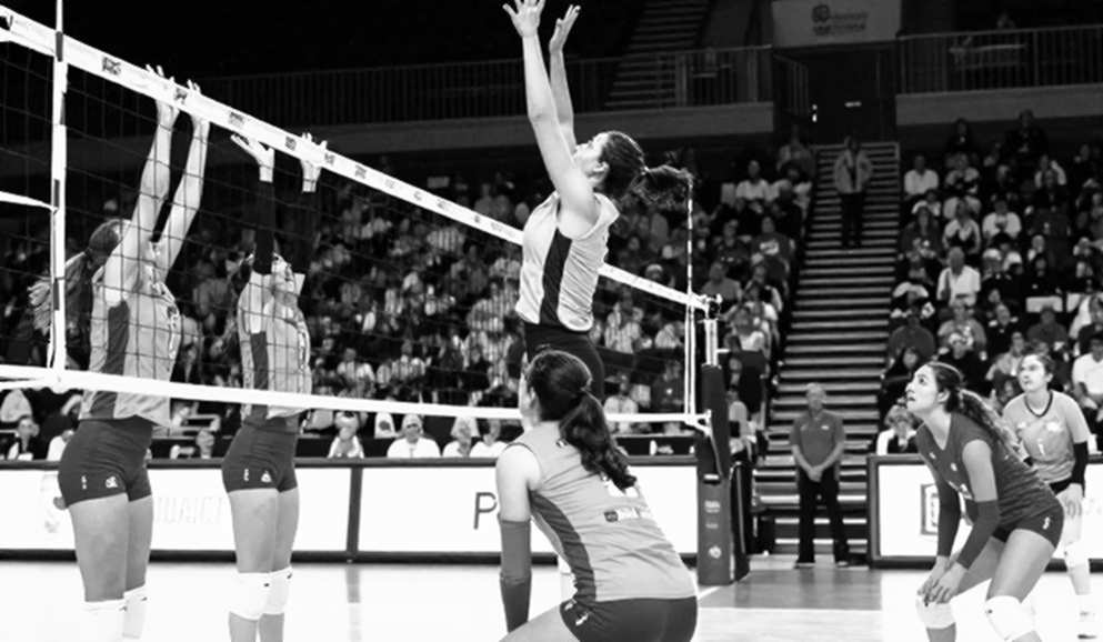 Showdown at the Net 2026: Khi ACC và SEC đối đầu trên đất Disney – Bản giao hưởng của những chiến binh thất trận