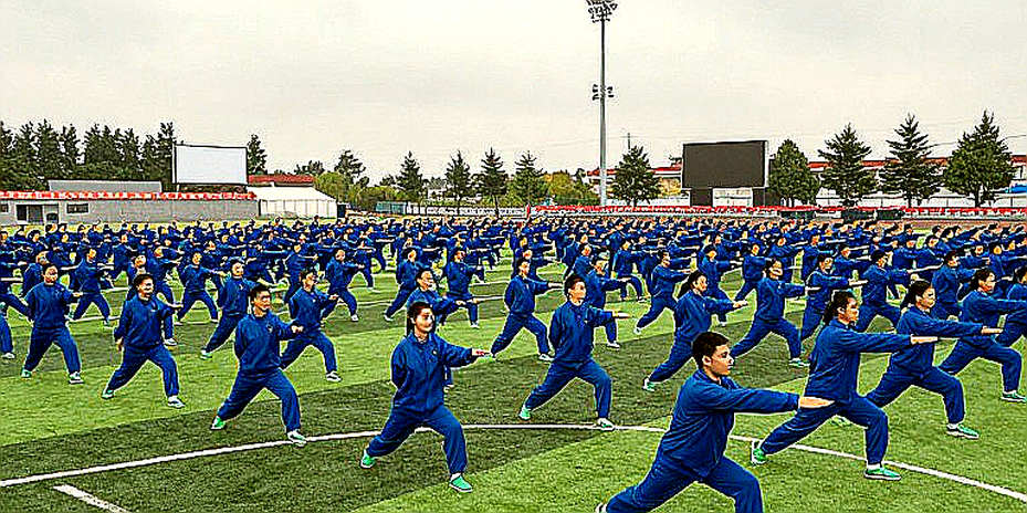 Ánh Vàng Trên Sàn Đấu Hình: Khi Poomsae Việt Nam Viết Lại Bài Toán Sáu Năm Ánh Vàng Trên Sàn Đấu Hình: Khi Poomsae Việt Nam Viết Lại Bài Toán Sáu Năm